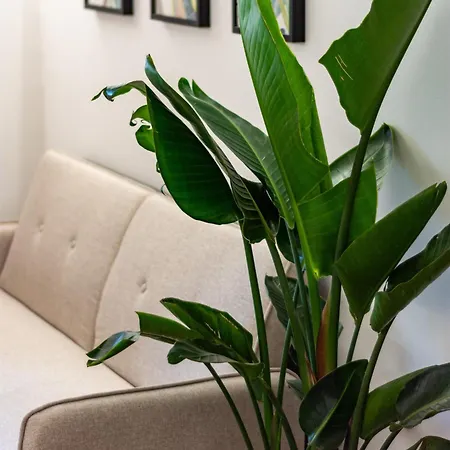 Maison Dafne Apartment